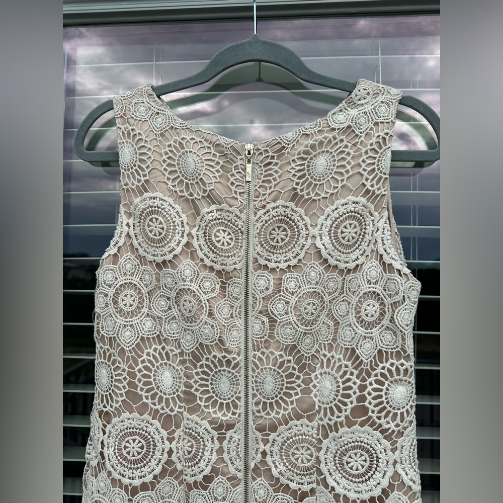 Eliza J Lace Sleeveless Shift Dress Size 6 Crochet Scalloped Hem Bohemian - Picture 5 of 9